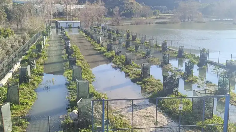 Irmak Taşkınları Otoyol Şantiyesini Vurdu: Zarar Bu Kadar Büyüyecek Mi?